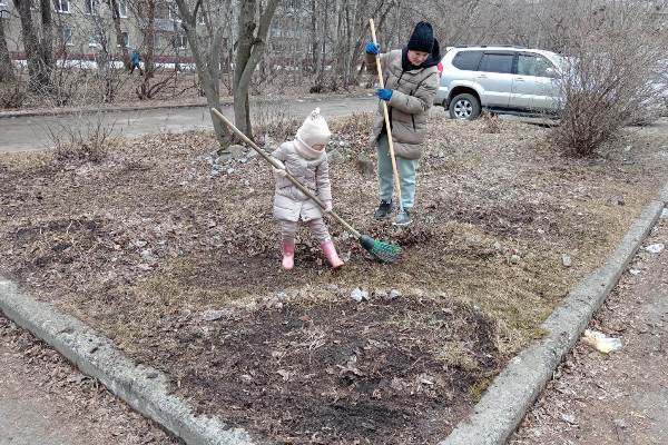 Обустройство дачного участка своими руками